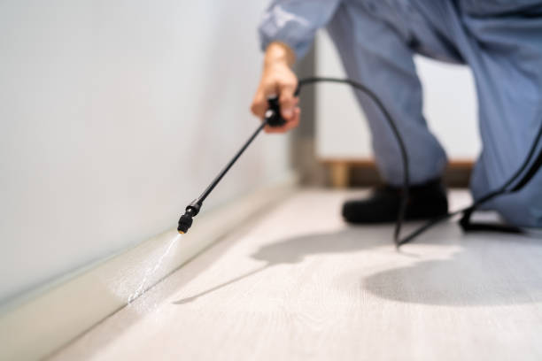 Licensed Mosquito Control service in Downey, CA - Show Me Pest Control