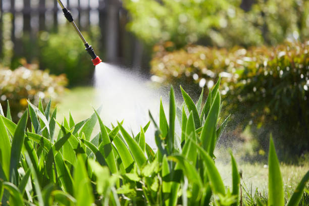24/7 Emergency Mosquito Control experts in Downey, CA