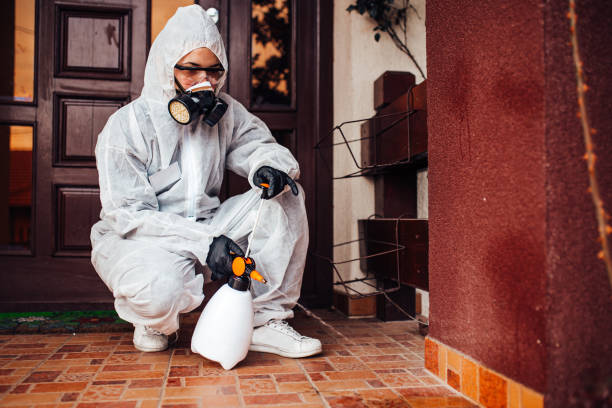 Reliable Mosquito Control contractor in Downey, CA by Show Me Pest Control